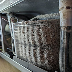 Refrigerator condenser coils clogged with dust